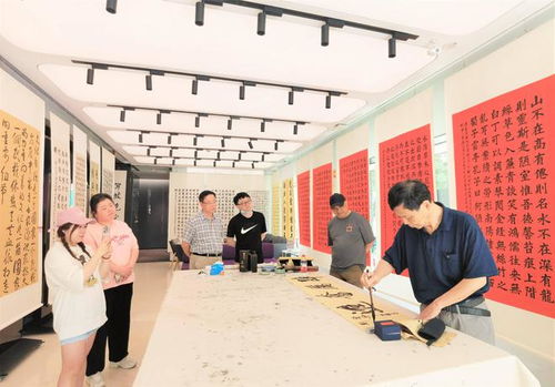 社区展览成党建打卡地，送上夏日消暑文化大餐——多措并举组织文化艺术交流