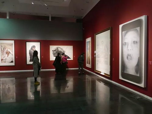 面孔架桥 上合组织成员国肖像画艺术展点亮清华艺博