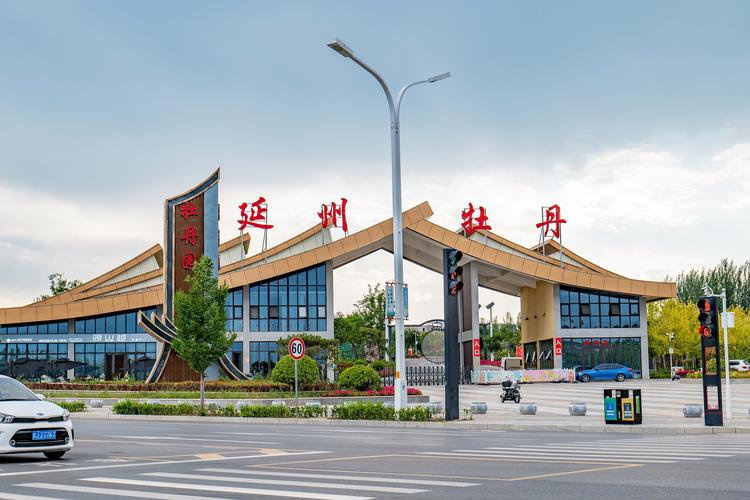 延安丹荟牡丹产业发展与文化艺术交流的融合之路